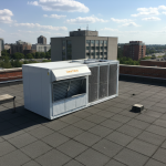 Какие обои лучше виниловые или флизелиновые: разбираем по полочкам